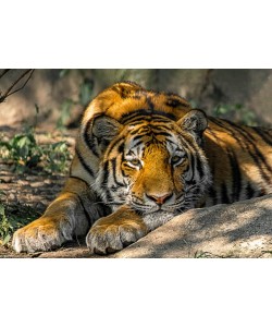 Konfiguration benutzen