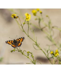 Konfiguration benutzen