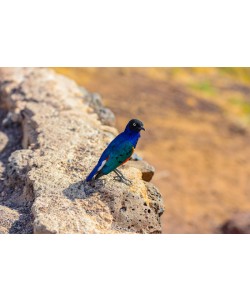 Konfiguration benutzen