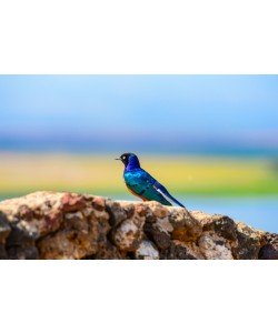 Konfiguration benutzen