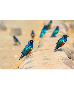 Konfiguration benutzen