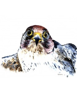 Konfiguration benutzen