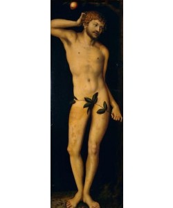 Lucas Cranach der Ältere, Adam