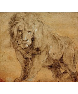Peter Paul Rubens, Stehender Löwe