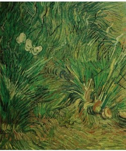 Vincent van Gogh, Zwei weiße Schmetterlinge