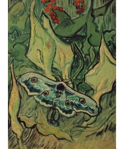 Vincent van Gogh, Totenschädel-Falter auf Blumen
