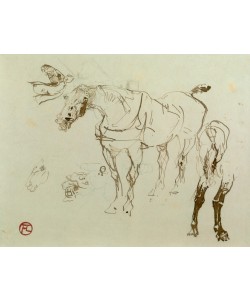 Henri de Toulouse-Lautrec, Pferd und Pferdestudien