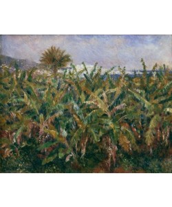 Pierre-Auguste Renoir, Champ de bananiers