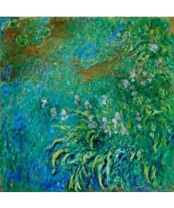 Claude Monet, Iris