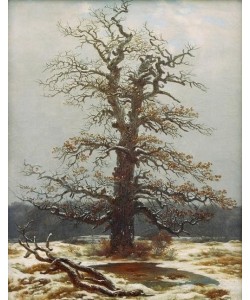Caspar David Friedrich, Eiche im Schnee