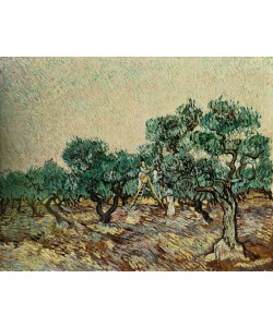 Vincent van Gogh, Olivenpflücker