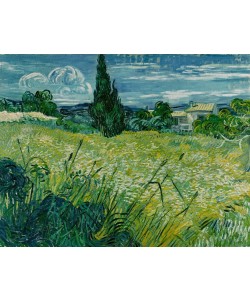 Vincent van Gogh, Grünes Weizenfeld mit Zypresse