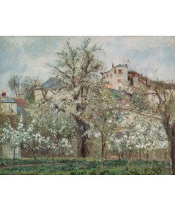 Camille Pissarro, Potager et arbres en fleurs, printemps, Pontoise