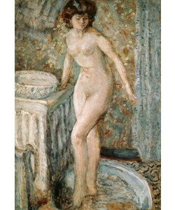 Pierre Bonnard, Akt bei der Toilette