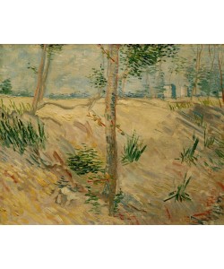 Vincent van Gogh, Baumstämme im Sonnenlicht