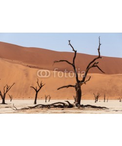 artush, Sossusvlei beautiful landscape of death valley