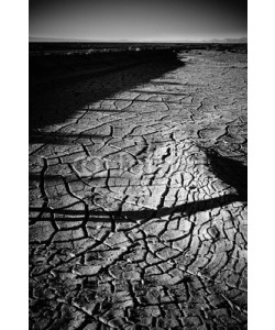 Evan Lee, Atacama Desert, Chile