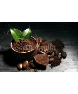 Africa Studio, Bowl with aromatic cocoa powder and green leaf on wooden background, close up