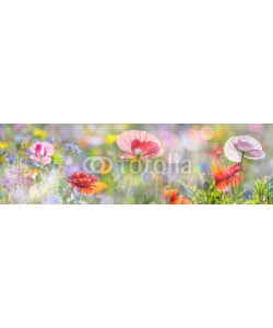 Vera Kuttelvaserova, summer meadow with red poppies