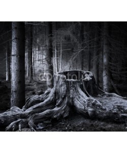 Pink Badger, Spooky forest with dry tree stump