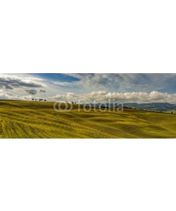 Blickfang, Toscana Landschaft Italien Panorama