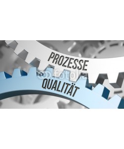 Coloures-pic, Prozesse / Qualität