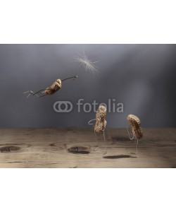 Nailia Schwarz, Simple Things - Peanut Man Flying with Blowball Umbrella