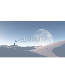 rolffimages, Moon and loneliness