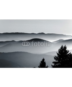 bonzodog, Aerial view of foggy mountains relief