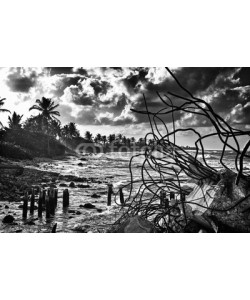 javigol860101, View of a eroded beach in cuba