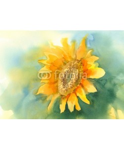 Egle, sunflower on green background watercolor