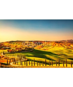 stevanzz, Tuscany countryside panorama, rolling hills and fields Italy