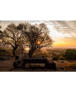 sutiporn, Vat Phou sunrise with champa flower and rock morning time.