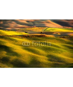 stevanzz, Volterra panorama, rolling hills, fields, meadow and lonely tree. Tuscany, Italy