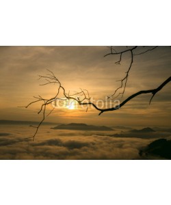 sutiporn, Tree silhouette sunrise mist foreground and mountains in Mekong river