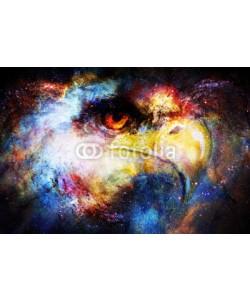 jozefklopacka, Eagle head in cosmic space. Animal concept. Profile portrait.