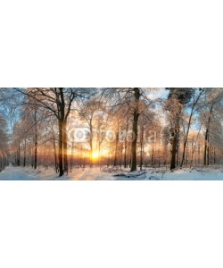Smileus, Winter Landschaft: Zauberhafter Sonnenuntergang im Wald