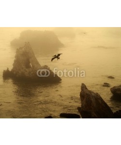 David Smith, group of islands off pismo beach california with pelican in flig