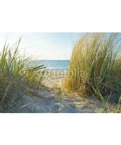 ThomBal, Dünengras am Meer