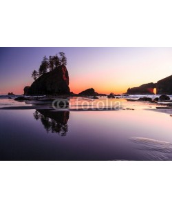 bvuhh, Wild Pacific Coast