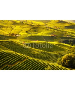 stevanzz, Langhe vineyards sunset panorama, Barolo, Piedmont, Italy Europe.
