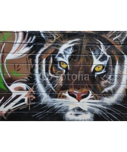 celeste clochard, tigre