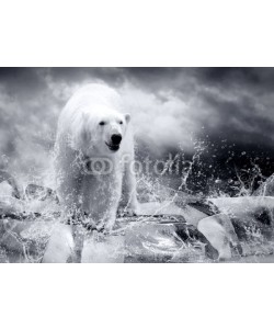Andrii Iurlov, White Polar Bear Hunter on the Ice in water drops.