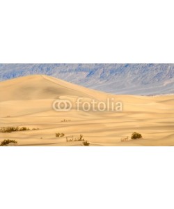 David Smith, large sand dune at sundown in death valley california