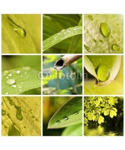 Delphotostock, Collage eau