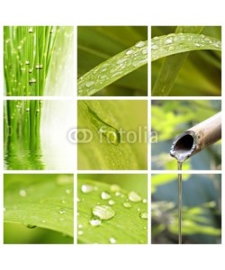 Delphotostock, Collage nature et eau