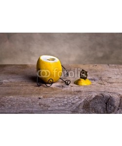 Nailia Schwarz, Stilleben mit Zitrone