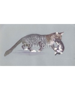 Nadiia Starovoitova, Watercolor Animal Collection: Cat
