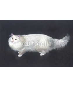 Nadiia Starovoitova, Watercolor Animal Collection: Cat