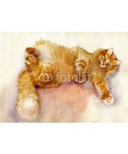 Nadiia Starovoitova, Watercolor Animal Collection: Cat
